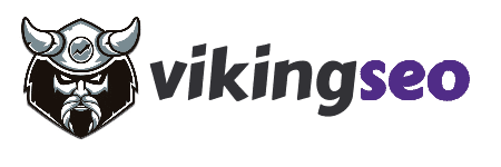 VikingSEO Agencia de Posicionamiento Web